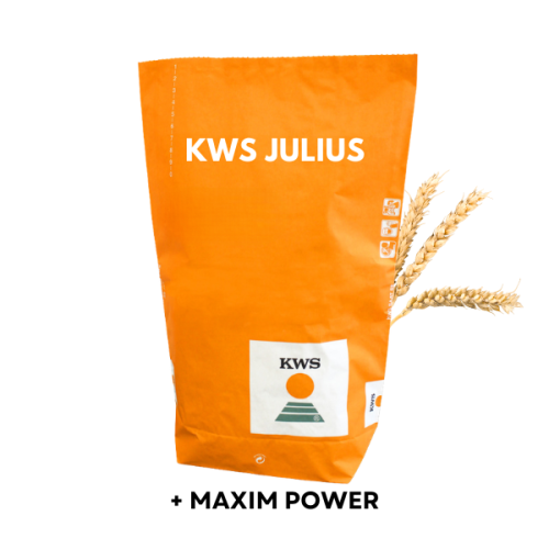 Przejdź do produktu Pszenica ozima JULIUS C1 KWS zaprawiona MAXIM POWER 50 KG