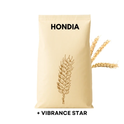 Przejdź do produktu Pszenica ozima HONDIA C1 zaprawiona VIBRANCE STAR 50 KG