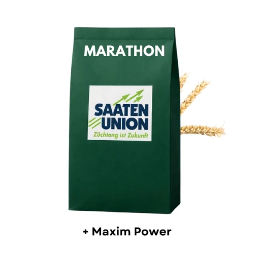 Przejdź do produktu Pszenica ozima MARATHON C1 zaprawiona MAXIM POWER worek 50 kg