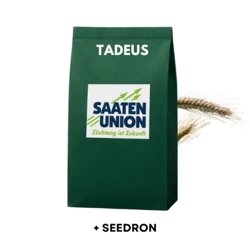 Przejdź do produktu Pszenżyto ozime TADEUS C1 zaprawione SEEDRON 25 KG