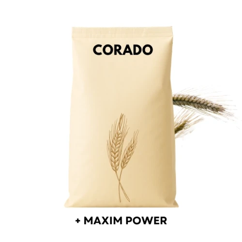 Przejdź do produktu Pszenżyto ozime CORADO zaprawiona MAXIM POWER C1 j.s. (4js/ha)