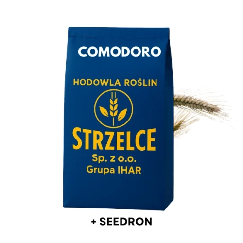 Przejdź do produktu Pszenżyto ozime COMODORO C1 zaprawione SEEDRON 50 KG
