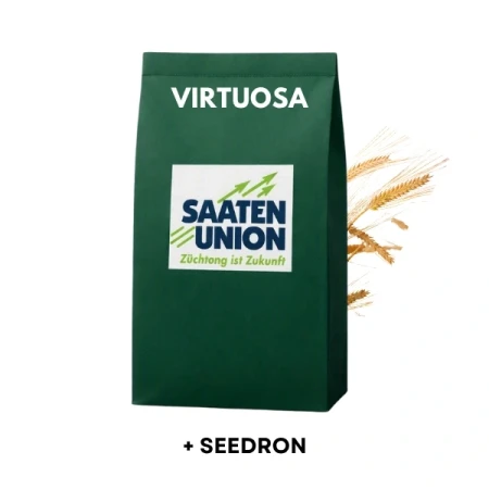 jęczmień-virtuosa (1).webp