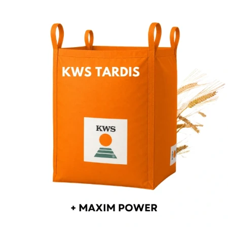 Jęczmień ozimy KWS Tardis C1 500 kg