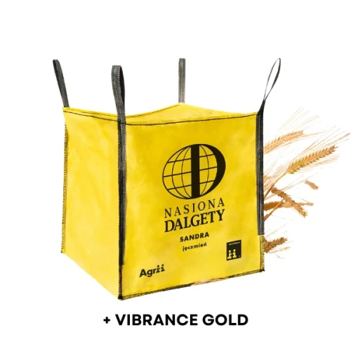 Przejdź do produktu Jęczmień ozimy dwurzędowy C1 BIG BAG 500 kg SANDRA AGRII zaprawiony VIBRANCE GOLD