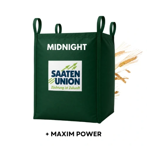 Przejdź do produktu Jęczmień ozimy SU MIDNIGHT C1 z zaprawą Maxim Power BIG BAG 500 KG