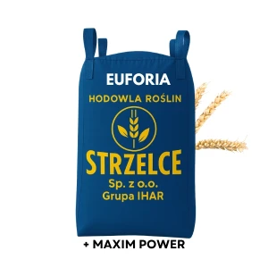 Pszenica ozima EUFORIA HR STRZELCE BIG BAG 500kg