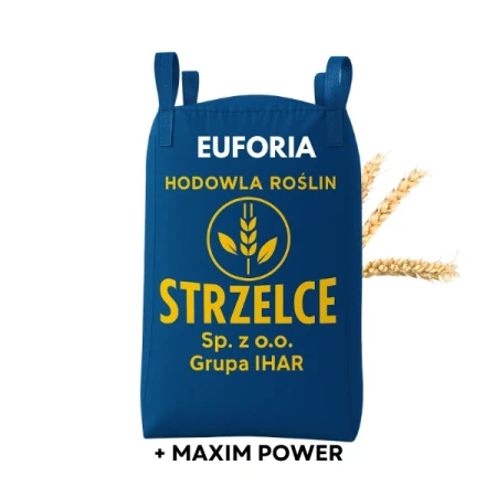 Pszenica ozima EUFORIA HR STRZELCE BIG BAG 500kg