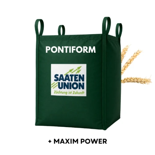 Przejdź do produktu Pszenica ozima Pontiform C1, BIG BAG 500kg