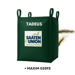 Pszenżyto ozime TADEUS C1 Big Bag 500 KG