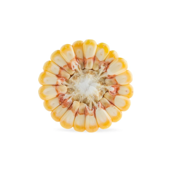 Kukurydza KWS Almondo C1 50 tys. nasion