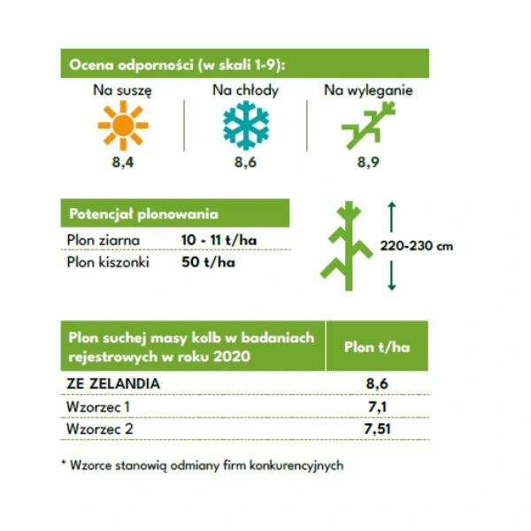 Kukurydza Zelandia C1 80 tys. nas.