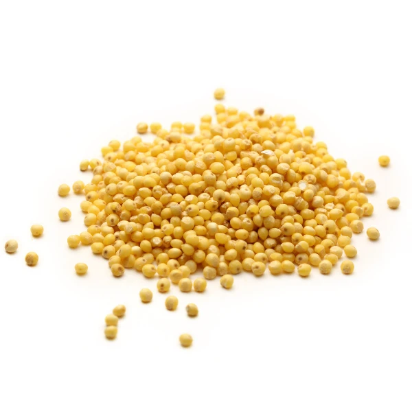 Proso Gierczyckie 25Kg Kwalifikat