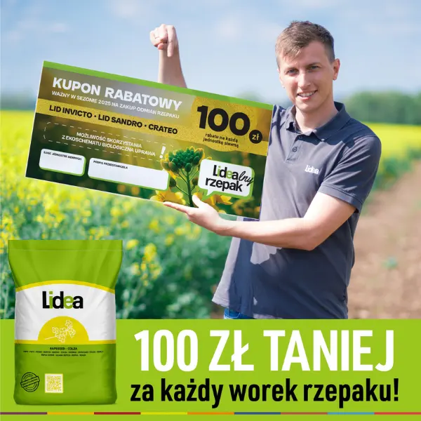 Nasiona rzepaku ozimego odmiany LIDEA LID INVICTO F1 C1 1,5MLN